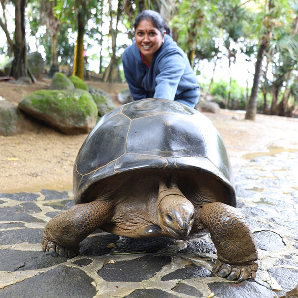 The Tortoise Raning Pictures